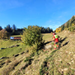 © Naturpark Nagelfluhkette e.V.