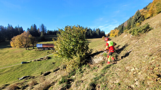 © Naturpark Nagelfluhkette e.V.