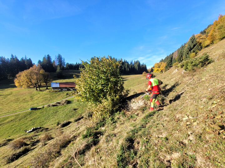© Naturpark Nagelfluhkette e.V.
