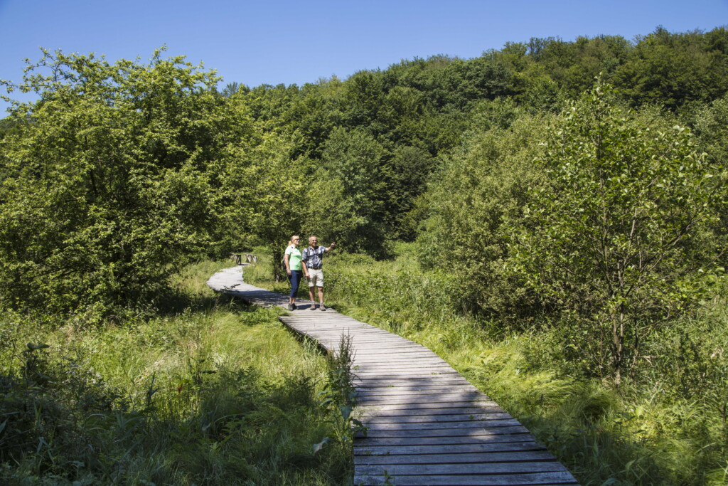 © Holger Leue / Tourismusverband Spessart-Mainland e.V.