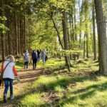 Wandern im Naturpark Frankenwald © Anja Wunder