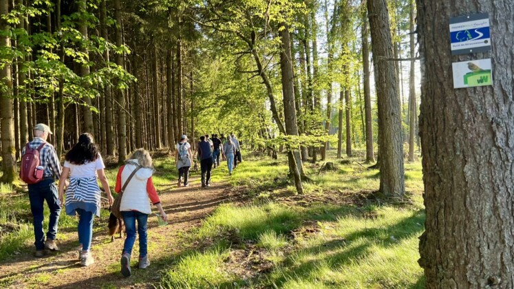Wandern im Naturpark Frankenwald © Anja Wunder